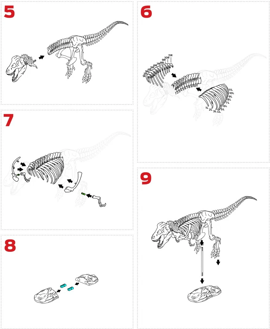 组装教程2.webp